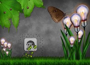 Dubbelglas: bespaar energie en verhoog wooncomfort